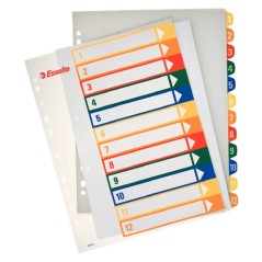 Esselte Printer Label Multicolour